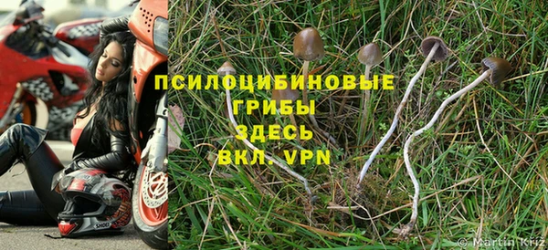 бутират Алексеевка