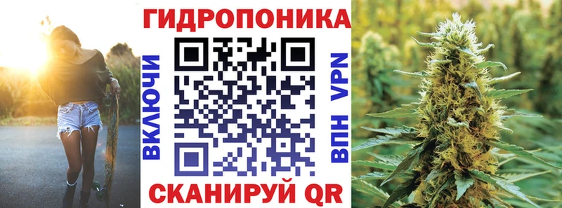 Каннабис Bruce Banner  что такое   Волхов 